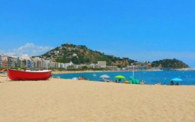Ljoret de mar