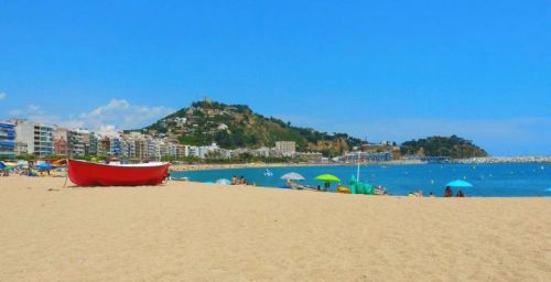 Ljoret de mar
